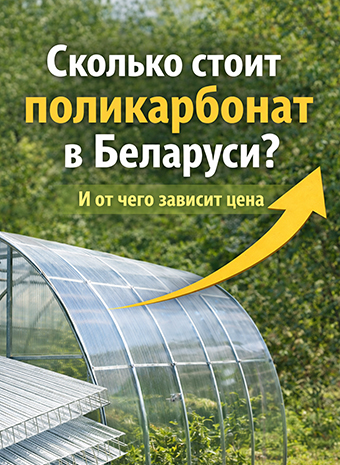 Сколько стоит поликарбонат в Беларуси и от чего зависит цена