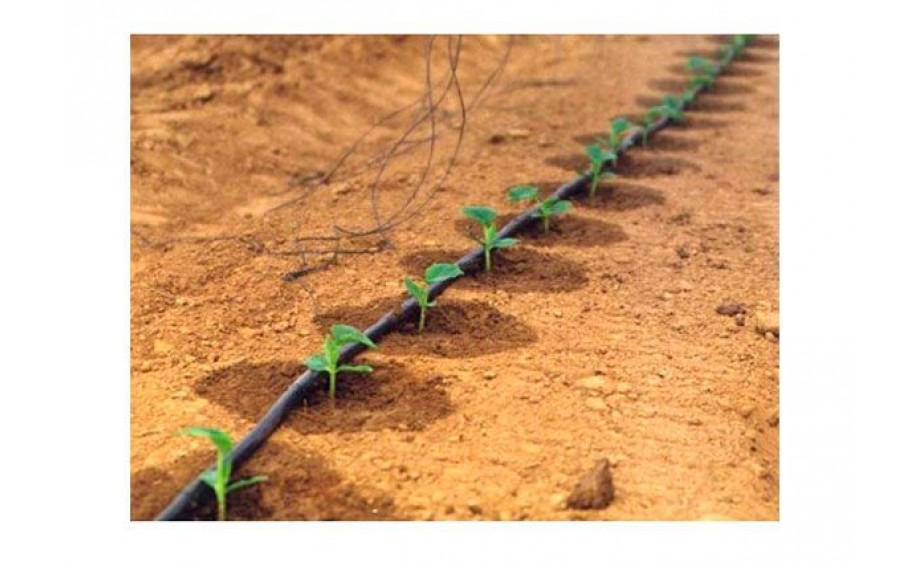 Капельный полив "Синьор Помидор ЭКО"