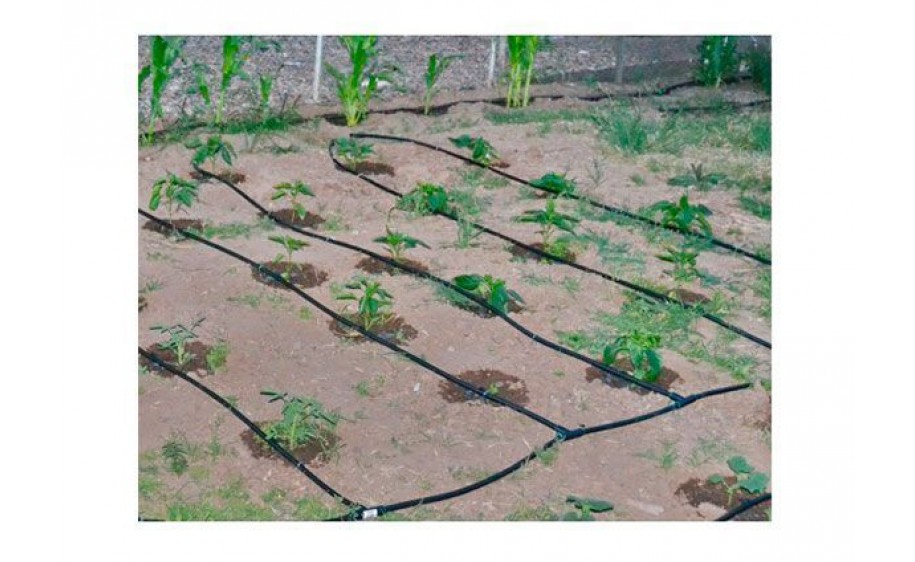 Капельный полив "Синьор Помидор ЭКО"