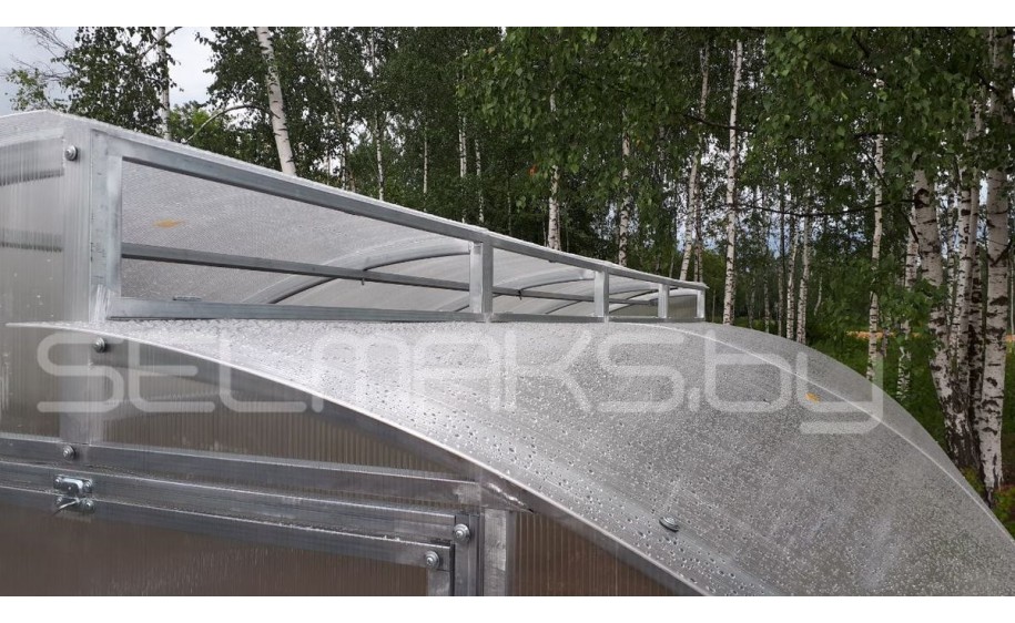 Теплица «Митлайдер»