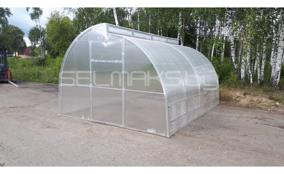 Теплица «Митлайдер»